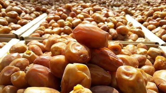تصویر 4 از خرما زاهدی ساینا مناسب تامین سفارش های فروشگاهی و پخش